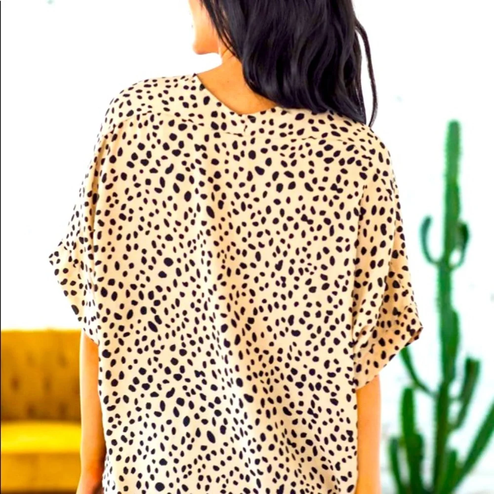Size Small!  New! Animal print v neck tunic top. - Picture 2 of 2